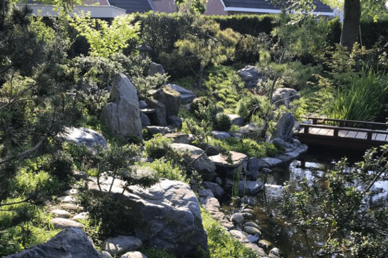 Japanse Tuinen - Rotspartijen