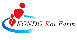 Logo Konda Koi Farm